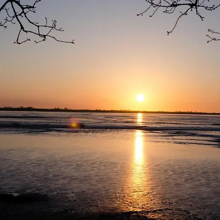 Coyle, Vermittlung Nordsee Dangast