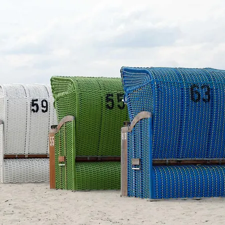 Coyle, Vermittlung Nordsee Dangast