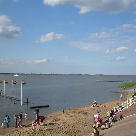 Coyle, Vermittlung Nordsee Dangast